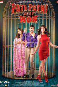 Pati Patni Aur Woh (2019) – Full Movie Download & Watch FREE – MOVIELOVERSBD.COM