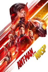 Ant-Man And The Wasp (2018) Hindi + English – Full Movie Download & Watch FREE – MOVIELOVERSBD.COM