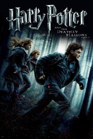 Harry Potter and the Deathly Hallows: Part 1 | Harry Potter 7 (2010) Hindi + English – Full Movie Download & Watch FREE – MOVIELOVERSBD.COM