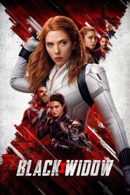 Black Widow (2021) Hindi/English – Full Movie Download & Watch FREE – MOVIELOVERSBD.COM