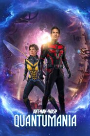 Ant-Man and the Wasp: Quantumania (2023) BluRay Hindi + English – Full Movie Download & Watch FREE – MOVIELOVERSBD.COM