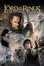 The Lord of the Rings: The Return of the King (2003) Extended BluRay Dual Audio Hindi + English – Full Movie Download & Watch FREE – MOVIELOVERSBD.COM