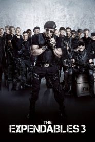 The Expendables 3 (2014) BluRay Dual Audio Hindi English – Full Movie Download & Watch FREE – MOVIELOVERSBD.COM
