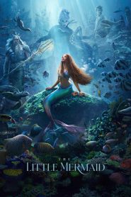 The Little Mermaid (2023) Dual Audio Hindi – Full Movie Download & Watch FREE – MOVIELOVERSBD.COM