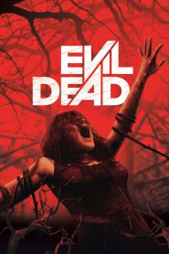 Evil Dead (2013) Dual Audio Hindi + English – Full Movie Download & Watch FREE – MOVIELOVERSBD.COM