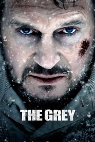 The Grey (2012) – Full Movie Download & Watch FREE – MOVIELOVERSBD.COM