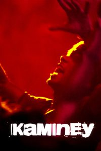 Kaminey – Full Movie Download & Watch FREE – MOVIELOVERSBD.COM