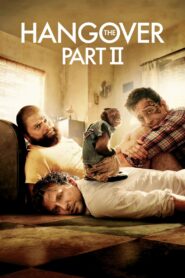 The Hangover Part II (2011) Hindi/English – Full Movie Download & Watch FREE – MOVIELOVERSBD.COM