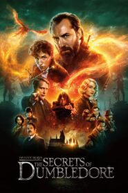 Fantastic Beasts: The Secrets of Dumbledore (2022) Dual Audio Hindi + English – Full Movie Download & Watch FREE – MOVIELOVERSBD.COM