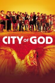 City of God (2002) – Full Movie Download & Watch FREE – MOVIELOVERSBD.COM