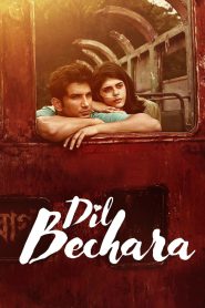 Dil Bechara – Full Movie Download & Watch FREE – MOVIELOVERSBD.COM
