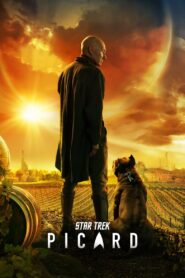 Star Trek: Picard (2020-2023) Season 01-03 – Hindi/English – Full Series Download & Watch FREE – MOVIELOVERSBD.COM