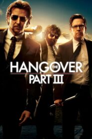 The Hangover Part III (2013) Hindi/English – Full Movie Download & Watch FREE – MOVIELOVERSBD.COM