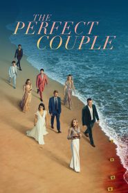 The Perfect Couple (2024) Season 01 – Hindi/English – Full Series Download & Watch FREE – MOVIELOVERSBD.COM