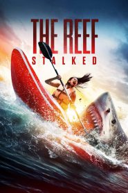The Reef: Stalked (2022) – Full Movie Download & Watch FREE – MOVIELOVERSBD.COM