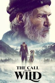The Call Of The Wild (2020) Hindi + English – Full Movie Download & Watch FREE – MOVIELOVERSBD.COM