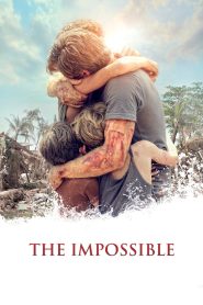 The Impossible (2012) Hindi/English – Full Movie Download & Watch FREE – MOVIELOVERSBD.COM