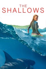 The Shallows (2016) Hindi + English – Full Movie Download & Watch FREE – MOVIELOVERSBD.COM