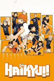 Haikyu!! (2020-2022) Season 01-02 – Hindi/Japanese – Full Series Download & Watch FREE – MOVIELOVERSBD.COM
