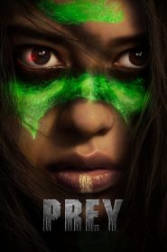 Prey (2022) Hindi + English – Full Movie Download & Watch FREE – MOVIELOVERSBD.COM