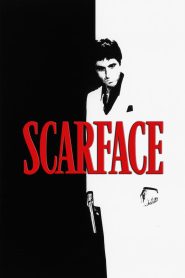 Scarface(1983) Hindi + English – Full Movie Download & Watch FREE – MOVIELOVERSBD.COM