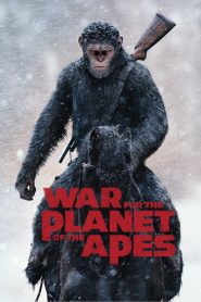 War for the Planet of the Apes (2017) Hindi + English – Full Movie Download & Watch FREE – MOVIELOVERSBD.COM