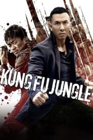 Kung Fu Jungle (2014) Hindi Dual – Full Movie Download & Watch FREE – MOVIELOVERSBD.COM