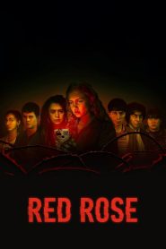 Red Rose (2022) Season 01 – Hindi/English – Full Series Download & Watch FREE – MOVIELOVERSBD.COM