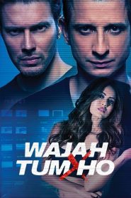 Wajah Tum Ho (2016) – Full Movie Download & Watch FREE – MOVIELOVERSBD.COM