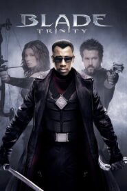 Blade: Trinity (2004) Blade 3 Hindi + English – Full Movie Download & Watch FREE – MOVIELOVERSBD.COM