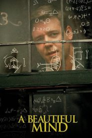 A Beautiful Mind (2001) Hindi + English – Full Movie Download & Watch FREE – MOVIELOVERSBD.COM