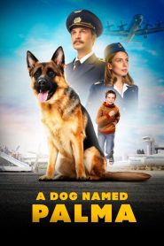 A Dog Named Palma (2021) Russian – Full Movie Download & Watch FREE – MOVIELOVERSBD.COM