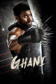 Ghani (2022) Hindi Dubbed – Full Movie Download & Watch FREE – MOVIELOVERSBD.COM