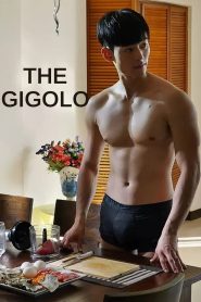 The Gigolo (2015) – 🔞 – Full Movie Download & Watch FREE – MOVIELOVERSBD.COM