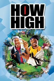 How High (2001) English – Full Movie Download & Watch FREE – MOVIELOVERSBD.COM