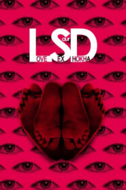 LSD: Love, Sex aur Dhokha (2010) – 🔞 – Full Movie Download & Watch FREE – MOVIELOVERSBD.COM