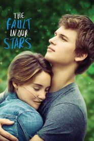 The Fault in Our Stars (2014) – Full Movie Download & Watch FREE – MOVIELOVERSBD.COM
