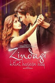 Zindagi Kitni Haseen Hay (2016) Pakistani – Full Movie Download & Watch FREE – MOVIELOVERSBD.COM