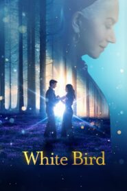 White Bird A Wonder Story (2024) Dual Audio Hindi – Full Movie Download & Watch FREE – MOVIELOVERSBD.COM