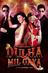 Dulha Mil Gaya (2010) Hindi BluRay – Full Movie Download & Watch FREE – MOVIELOVERSBD.COM