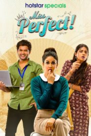 Miss Perfect (2024) Season 1 – Bangla/Hindi – Full Series Download & Watch FREE – MOVIELOVERSBD.COM