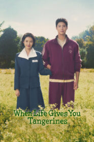 When Life Gives You Tangerines (2025) Season 01 – Dual Audio [Hindi-English] NetFlix WEB-DL – Full Series Download & Watch FREE – MOVIELOVERSBD.COM