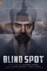 Blind Spot (2025) Tam+Mal+Tel+Kan+Hin – Full Movie Download & Watch FREE – MOVIELOVERSBD.COM