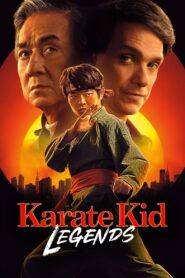 Karate Kid Legends (2025) Dual Audio [Hindi ORG-English] AMZN WEB-DL H264 AAC 1080p 720p 480p ESub – MOVIELOVERSBD.COM
