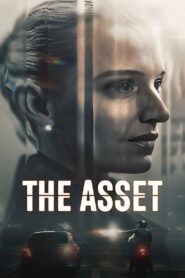 The Asset (2025) S01 Dual Audio [Hindi ORG-Danish] NetFlix – WEB-DL H264 AAC 1080p 720p 480p Download & Watch FREE