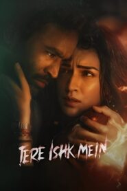 Tere Ishk Mein (2025) Dual Audio [Hindi ORG-Tamil] Netflix – WEB-DL H264 AAC 1080p 720p 480p Download & Watch FREE