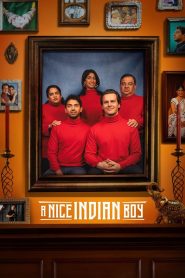 A Nice Indian Boy (2025) HQ AMZN.WEB-DL Hindi + Multi – WEB-DL H264 AAC 1080p 720p 480p Download & Watch FREE