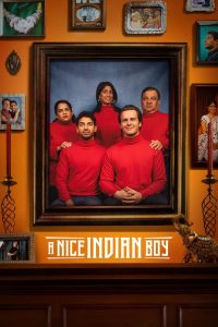 A Nice Indian Boy (2025) HQ AMZN.WEB-DL Hindi + Multi – WEB-DL H264 AAC 1080p 720p 480p Download & Watch FREE