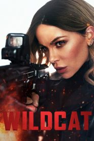 Wildcat (2025) – WEB-DL H264 AAC 1080p 720p 480p Download & Watch FREE