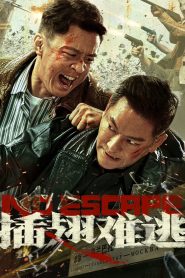 No Escape (2025) Dual Audio [Hindi ORG-Chinese] – WEB-DL H264 AAC 1080p 720p 480p Download & Watch FREE